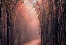 talkSPORT：阿诺德同意加盟皇马，将签约5年且周薪超22万镑.