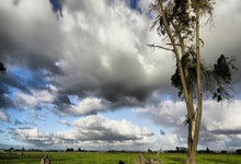 爱游戏：世锦赛夺冠热门？是否还有他-奥沙利文.